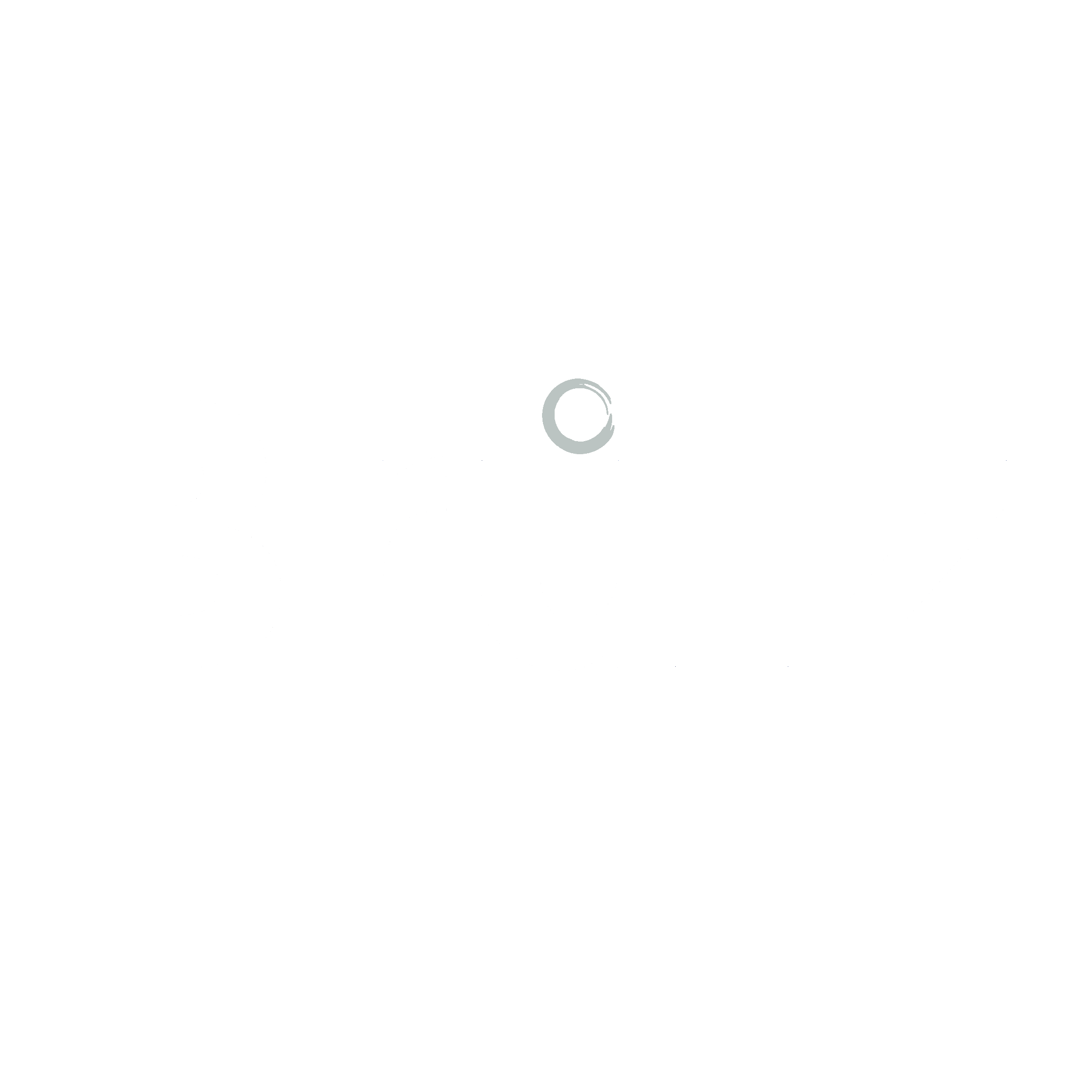 brulz-logo-white